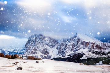Beautiful Winter at Alpe di Siusi, Seiser Alm - Italy - Holiday background for Christmas. 