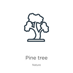 Red pine tree icon. Thin linear red pine tree outline icon isolated on white background from nature collection. Line vector red pine tree sign, symbol for web and mobile