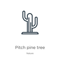 Pitch pine tree icon. Thin linear pitch pine tree outline icon isolated on white background from nature collection. Line vector pitch pine tree sign, symbol for web and mobile