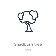 Shadbush tree icon. Thin linear shadbush tree outline icon isolated on white background from nature collection. Line vector shadbush tree sign, symbol for web and mobile