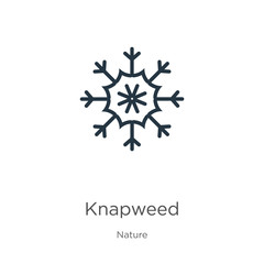 Knapweed icon. Thin linear knapweed outline icon isolated on white background from nature collection. Line vector knapweed sign, symbol for web and mobile