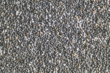 Edible seeds of chia, Salvia hispanica, a flowering plant of the mint family. A popular healthy food product.