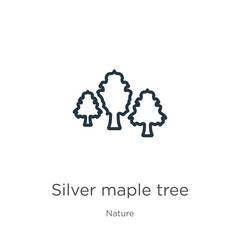 Silver maple tree icon. Thin linear silver maple tree outline icon isolated on white background from nature collection. Line vector silver maple tree sign, symbol for web and mobile