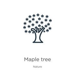 Red maple tree icon. Thin linear red maple tree outline icon isolated on white background from nature collection. Line vector red maple tree sign, symbol for web and mobile