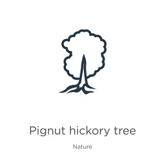 Pignut hickory tree icon. Thin linear pignut hickory tree outline icon isolated on white background from nature collection. Line vector pignut hickory tree sign, symbol for web and mobile