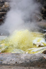 Cooking sweet corn in thermal springs. Travel to Furnas, San Miguel, Azores..Furnas is a valley of geysers and fumaroles, thermal baths, and mineral springs.