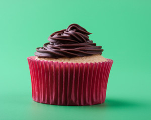 Delicious homemade sweet vanilla cupcake with chocolate icing, green background