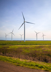 Wind turbines along the highway from a wind farm in the east of Amherst, Nova Scotia, Canada 