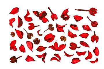 Set of dried rose petals isolated on white background