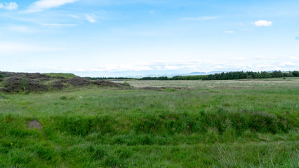 Grassy Field in Scotland