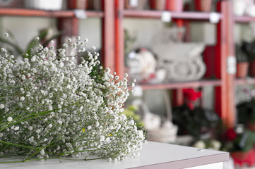 Gypsophyla paniculata double white. Florist workplace.