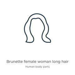 Brunette female woman long hair icon. Thin linear brunette female woman long hair outline icon isolated on white background from human body parts collection. Line vector brunette female woman long