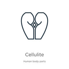 Cellulite icon. Thin linear cellulite outline icon isolated on white background from human body parts collection. Line vector cellulite sign, symbol for web and mobile