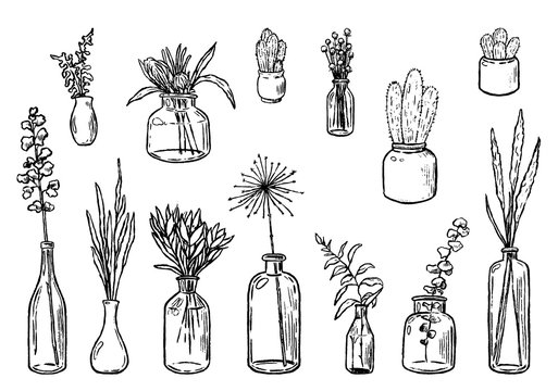 Hand drawn vector illustration. Collection of varied vases, bottles, and jars of flowers and plants. Vintage botanical set. Decorative floral outline elements isolated in white. Details for design.