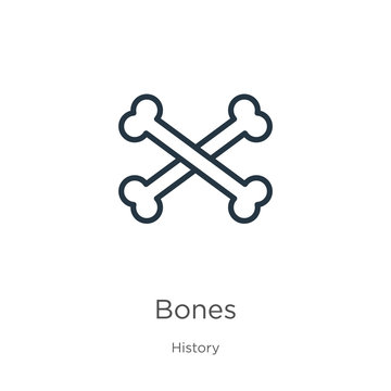 Bones icon. Thin linear bones outline icon isolated on white background from history collection. Line vector bones sign, symbol for web and mobile