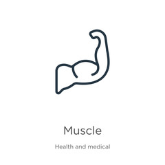 Muscle icon. Thin linear muscle outline icon isolated on white background from health collection. Line vector muscle sign, symbol for web and mobile