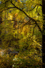 Fall for Planet Sedona