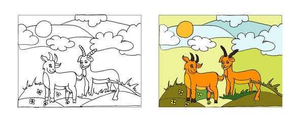 Goat coloring book design with monochrome and colored versions. Freehand sketch for adult anti stress coloring book page with doodle elements. Vector Illustrations for kids book.