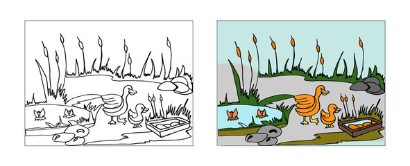 Ducks behind pond coloring book design with monochrome and colored versions. Freehand sketch for adult anti stress coloring book page with doodle elements. Vector Illustrations for kids book.