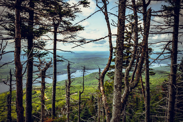 View from top of Mont Tremblant