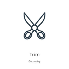 Trim icon. Thin linear trim outline icon isolated on white background from geometry collection. Line vector trim sign, symbol for web and mobile