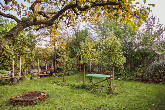 View on the autumn garden from under the pear tree