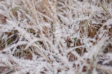 Cold morning outdoors in winter with frozen ice cubes of snow on dry yellow grass