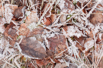 Cold morning outdoors in winter with frozen ice cubes of snow on dry yellow grass