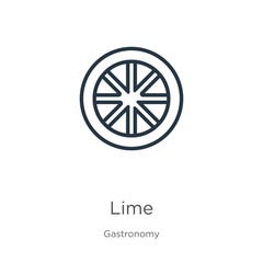 Lime icon. Thin linear lime outline icon isolated on white background from gastronomy collection. Line vector lime sign, symbol for web and mobile