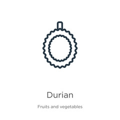 Fototapeta premium Durian icon. Thin linear durian outline icon isolated on white background from fruits collection. Line vector durian sign, symbol for web and mobile