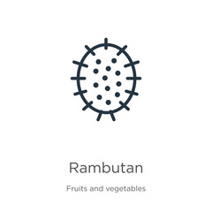 Rambutan icon. Thin linear rambutan outline icon isolated on white background from fruits collection. Line vector rambutan sign, symbol for web and mobile