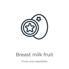 Breast milk fruit icon. Thin linear breast milk fruit outline icon isolated on white background from fruits collection. Line vector breast milk fruit sign, symbol for web and mobile