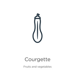 Courgette icon. Thin linear courgette outline icon isolated on white background from fruits collection. Line vector courgette sign, symbol for web and mobile