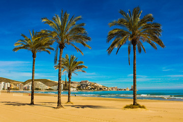 Obraz premium Cullera