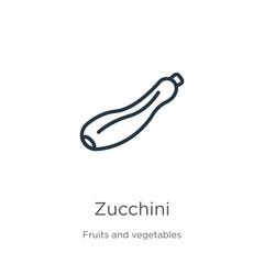 Zucchini icon. Thin linear zucchini outline icon isolated on white background from fruits and vegetables collection. Line vector zucchini sign, symbol for web and mobile