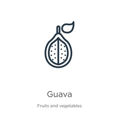 Guava icon. Thin linear guava outline icon isolated on white background from fruits and vegetables collection. Line vector guava sign, symbol for web and mobile