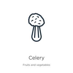 Celery icon. Thin linear celery outline icon isolated on white background from fruits and vegetables collection. Line vector celery sign, symbol for web and mobile