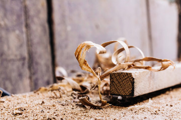 Heart-shaped wood shavings