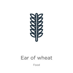 Ear of wheat icon. Thin linear ear of wheat outline icon isolated on white background from food collection. Line vector ear of wheat sign, symbol for web and mobile