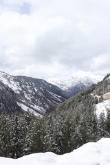 Montaña nevada