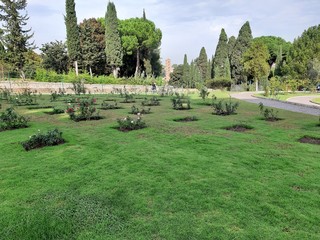 Fototapeta na wymiar Roma - Scorcio panoramico del roseto