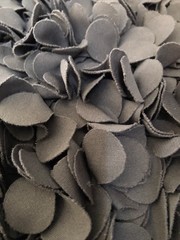 pile of sunflower seeds