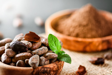 Cocoa beans with mint on jute side view. Cacao powder in wooden bowl blure in background. Panorama or banner concept.