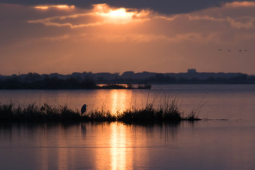 Coucher de soleil sur l'&eacute;tang du Charnier en Camargue