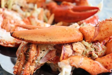 Plateau de homard - Crustacé semi décortiqué