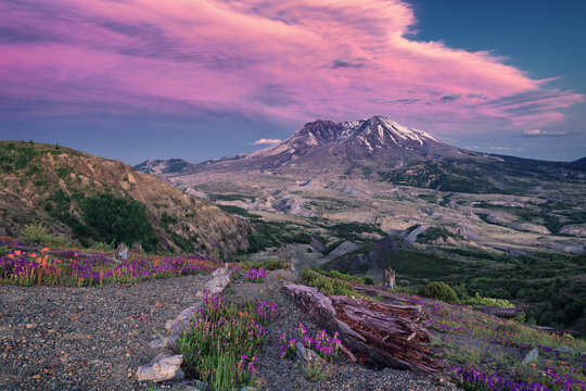 colorful cloud formation over volcanic mountain with flowers in foreground