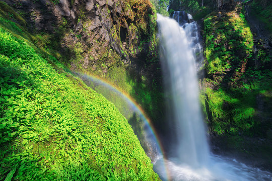 waterfall in forest with rainbow