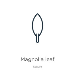 Magnolia leaf icon. Thin linear magnolia leaf outline icon isolated on white background from nature collection. Line vector magnolia leaf sign, symbol for web and mobile