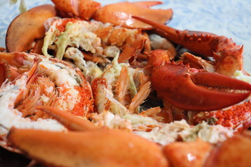 Plateau de homard - Crustacé semi décortiqué