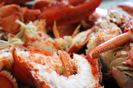 Plateau de homard - Crustac&eacute; semi d&eacute;cortiqu&eacute;